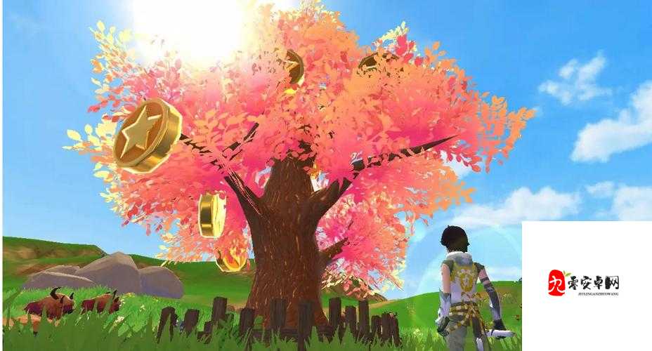 探索创造与魔法龟壳高爆率秘境