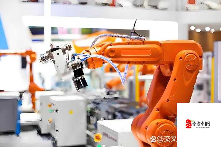 国精产品 WK5777：引领行业创新发展的典范