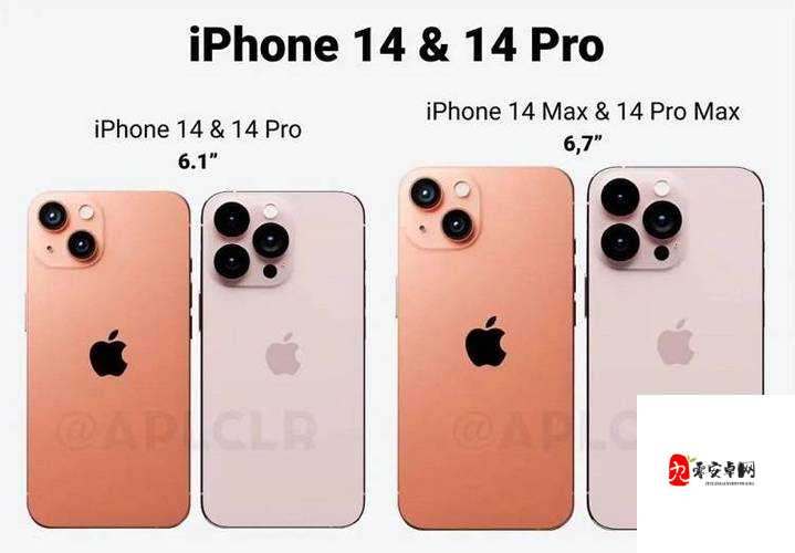 iPhone 细节全面剖析：从外观设计到系统功能的深度解读