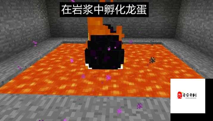 冰原守卫者，揭秘龙蛋的取出与孵化之旅