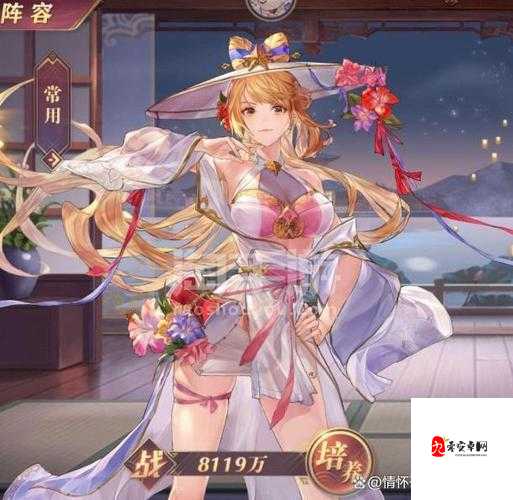 三国志幻想大陆魏国新武将在资源管理中的重要性及高效运用策略