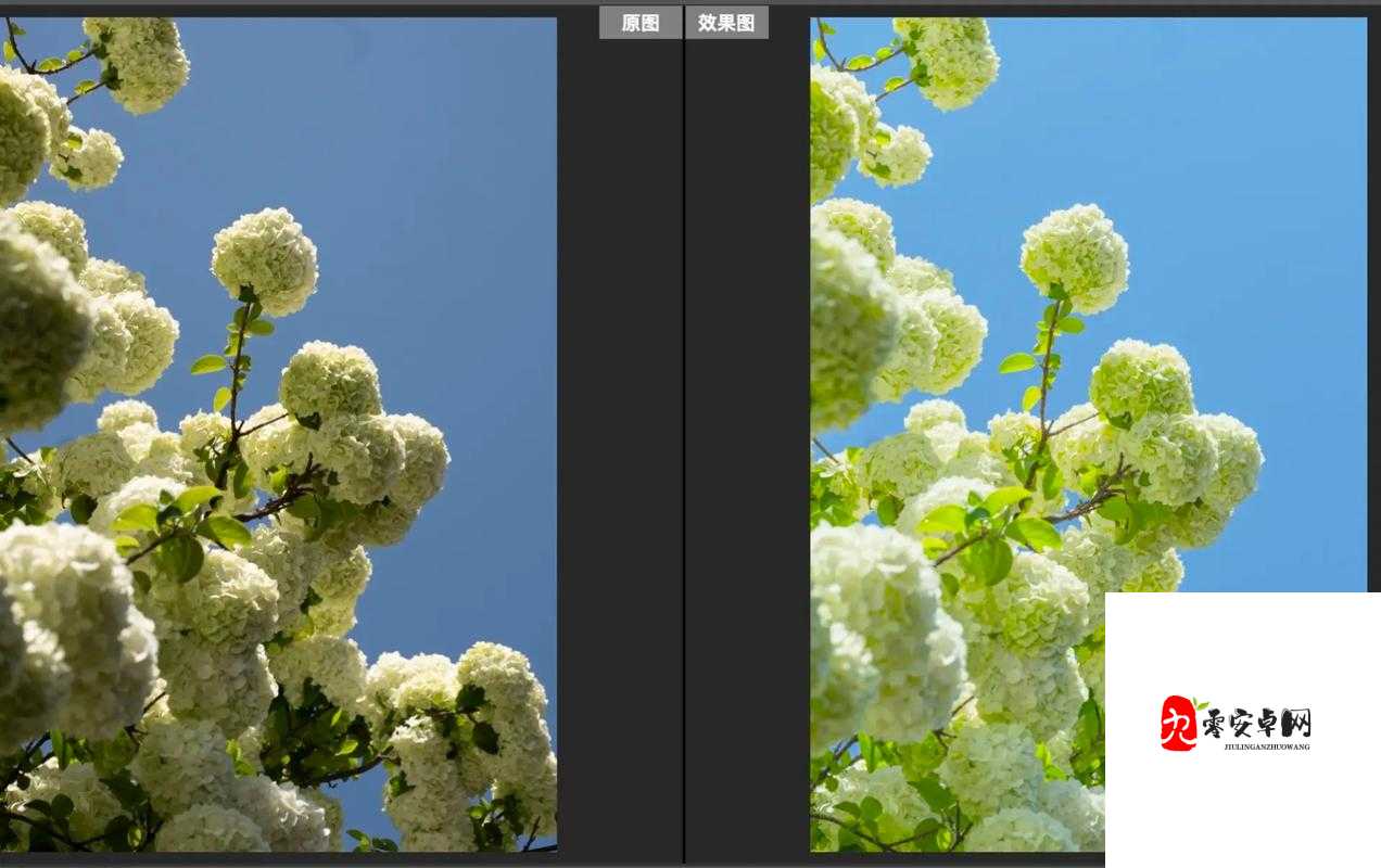 免费 PS 大片调色软件下载：让你的照片瞬间大片范儿