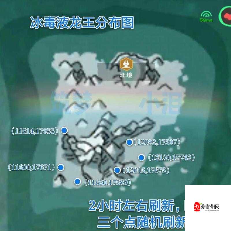 创造与魔法龟饲料怎么制作，资源管理、高效利用与最大化价值