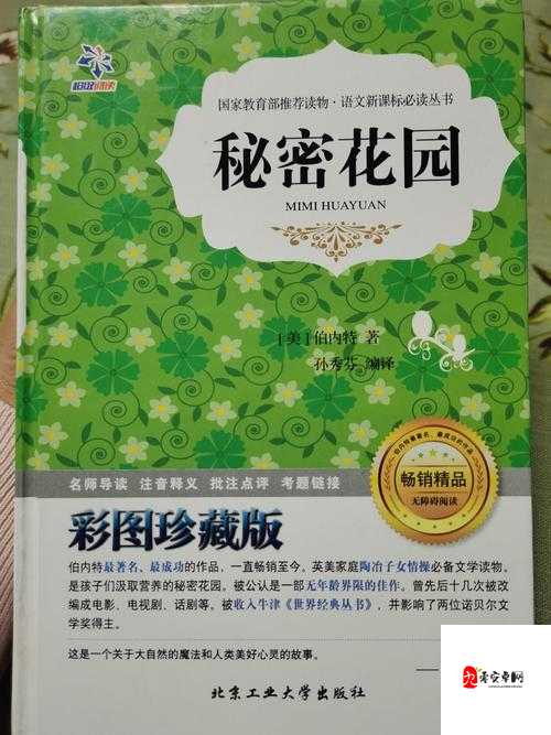 大手往哪秘密花园探去寓意何在：探寻背后的深层含义与思考