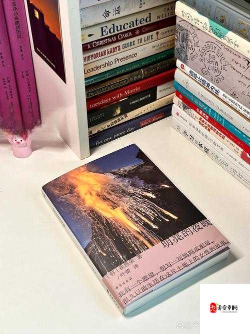 他看向他们结合处时的微妙神情与思索