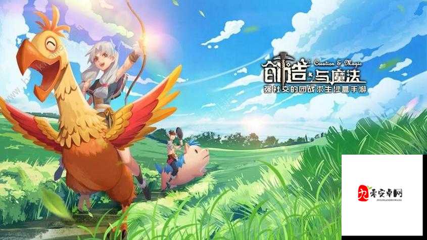 创造与魔法，揭秘可可豆的奇妙用途