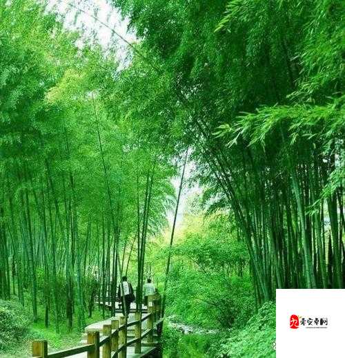 芳草萋萋流水潺潺美不可言：领略大自然的宁静与美丽