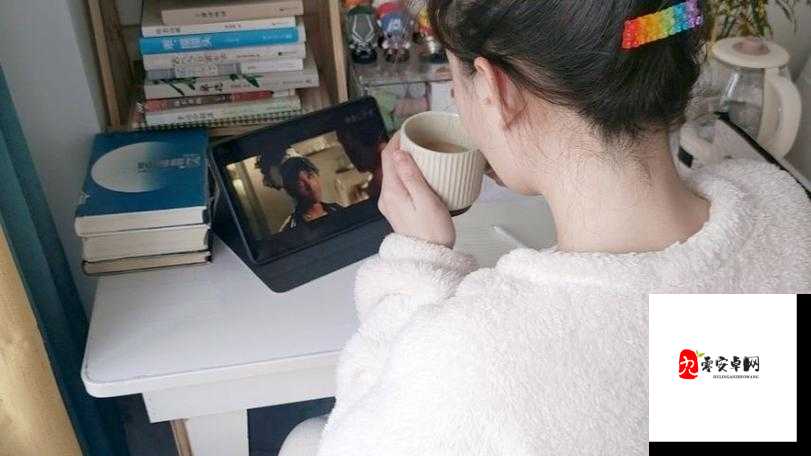 适合一个人在家看的视频素材有哪些之精彩推荐