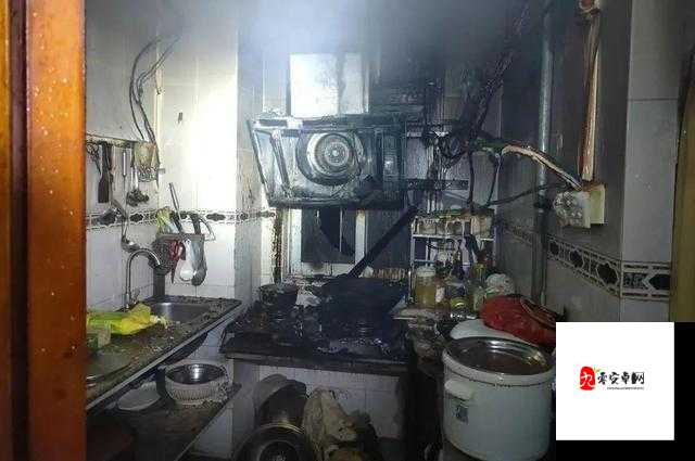 厨房间墙内传来持续噼里啪啦的怪异声响之谜