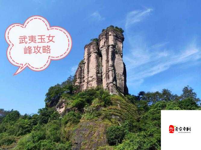 二曲亭亭玉女峰邻水插花像谁用：探究其背后的神秘意象