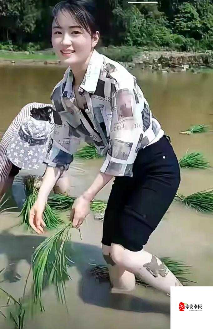 情侣之间插秧的图片：田间劳作也有浪漫爱情