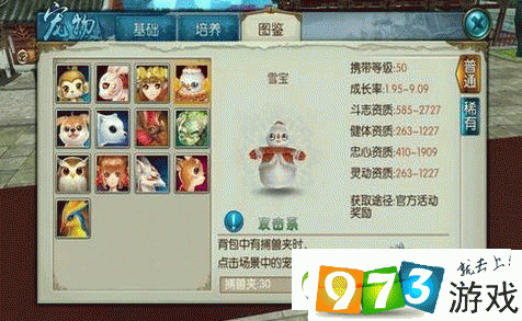 诛仙手游，揭秘雷神刷新时间，助你捕捉珍稀宠物