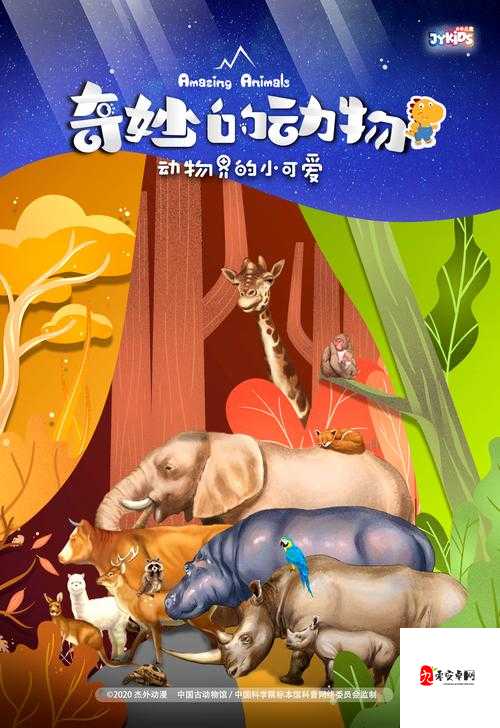 美国 ZOOm 动物的奇妙世界：探索动物的奥秘