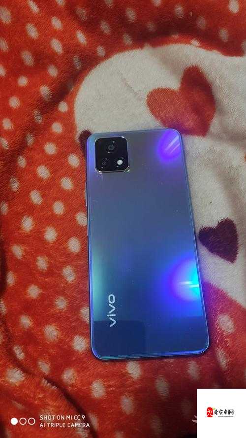 一级成色好的 y31s ：性能卓越的高品质手机推荐