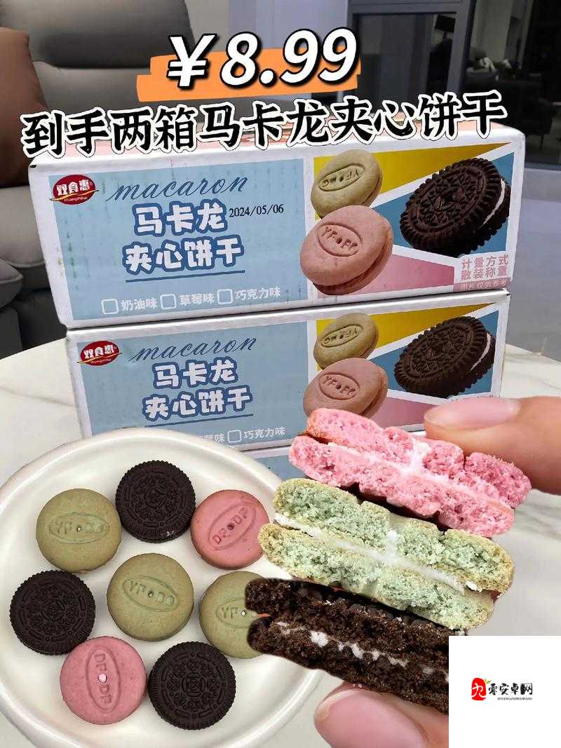 1V2 双胞胎夹心饼干：一场甜蜜与刺激交织的奇妙冒险