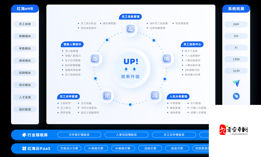企业管理软件管理系统有哪些：全面解析与比较