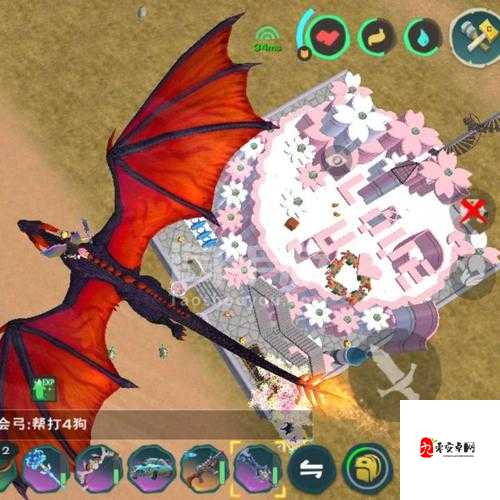 创造与魔法混战服，宠物选择大揭秘，助你称霸战场！