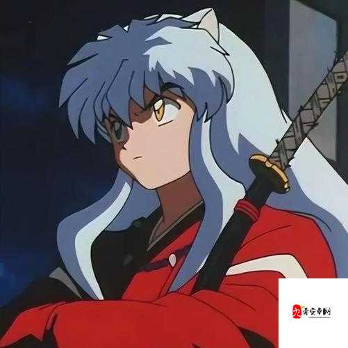 犬夜叉 639 最终版攻略合成之详细解读与技巧分享