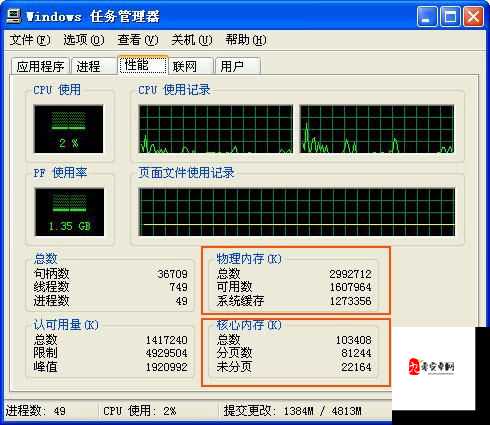 美国与欧洲 Windows VPS 区别大揭秘：网络性能、价格及服务差异分析