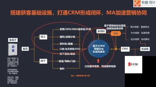 海外直播 B 站的主要内容和观看方式是什么：详细解析与指南