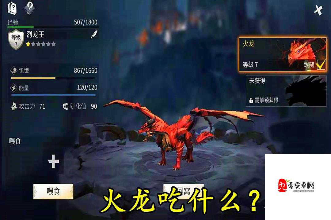 冰原守卫者龙，装备分解全攻略，让你的资源不再闲置！