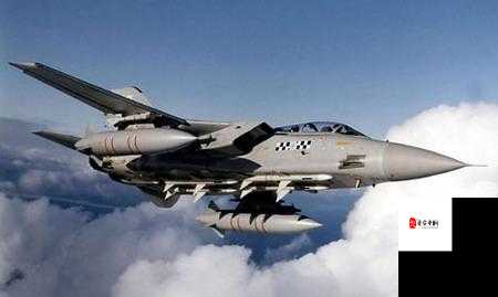 浴血长空英军战机种类分享及资源管理策略