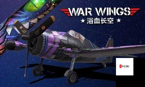 浴血长空重型战机分享及资源管理策略