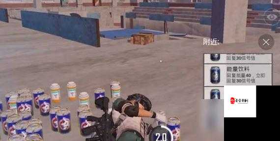 和平精英沙漠普罗港怎么玩，普罗港玩法分享与资源管理策略