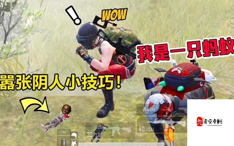 和平精英监狱如何阴人，策略、技巧与价值最大化