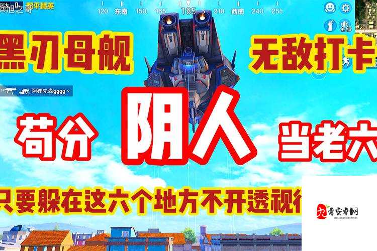 和平精英如何在石心城树上阴人，阴人方法介绍及其在资源管理中的重要性