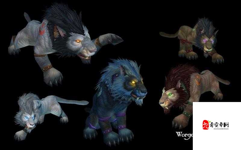 狼人德鲁伊与暗夜德鲁伊的奇幻冒险之旅及神秘力量探索