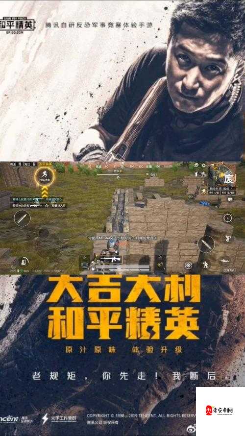 和平精英伐木场战术全解析，精准打击与策略布局