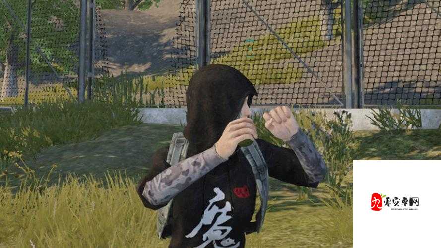 和平精英投掷类武器，精准投掷，制胜关键