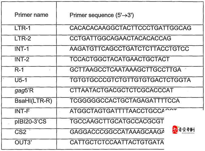 52gccnm 相关话题探讨：其背后的深意与影响