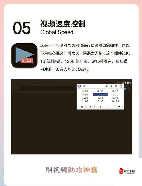 可以进入任何网站的浏览器：突破限制畅享网络世界
