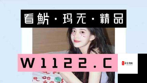 乱码 A 区 D 区 C 区：神秘的网络世界探索之旅