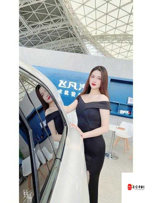 日本人 BBWXX 令人惊叹的独特经历与非凡成就