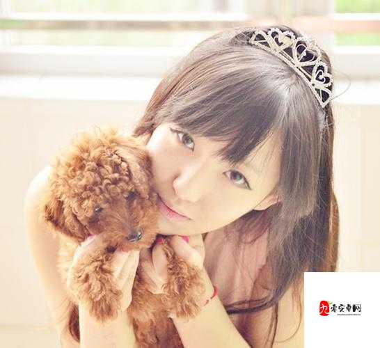 神奇 26uuu 图片展现独特魅力与精彩