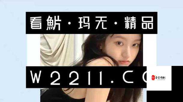 XXXXXLmedjyf使用评价越南：深入剖析其全面观点与独特视角