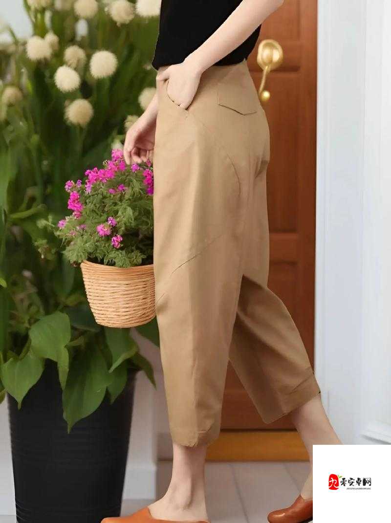 女士萝卜裤子：时尚与舒适的完美结合