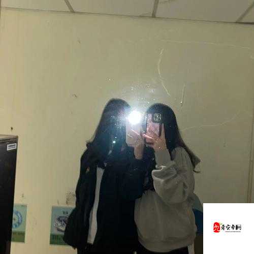 六月大神厕拍：窥探隐秘之地的震撼瞬间