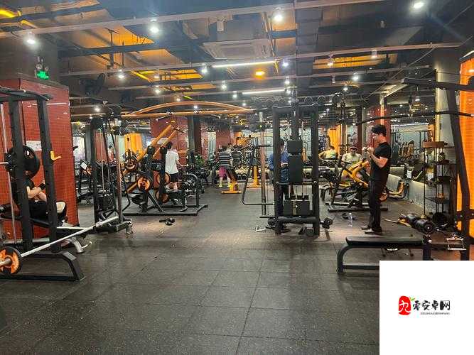 蓝莓视频可乐操：活力健身新体验