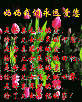 妈妈已经是你的女人了：关于这首歌背后的故事与情感探讨