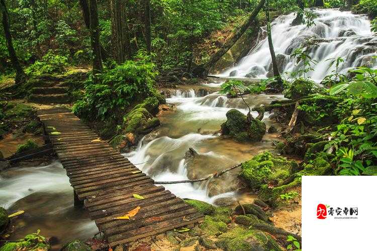 探秘白虎一线天：自然奇观的神秘面纱