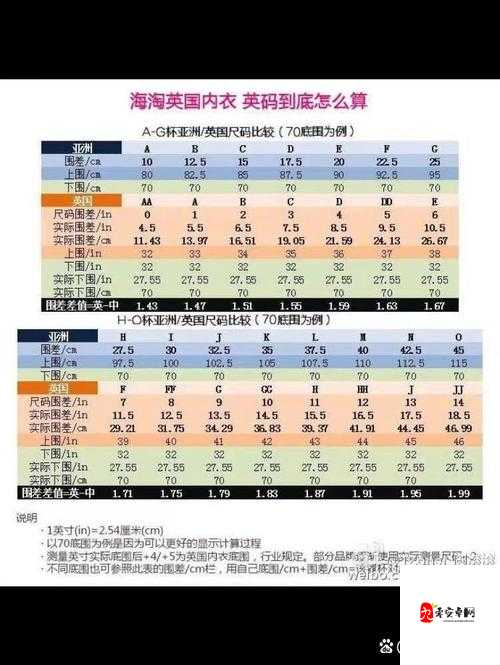 国产尺码和欧洲尺码表对比：差异与换算方法详解