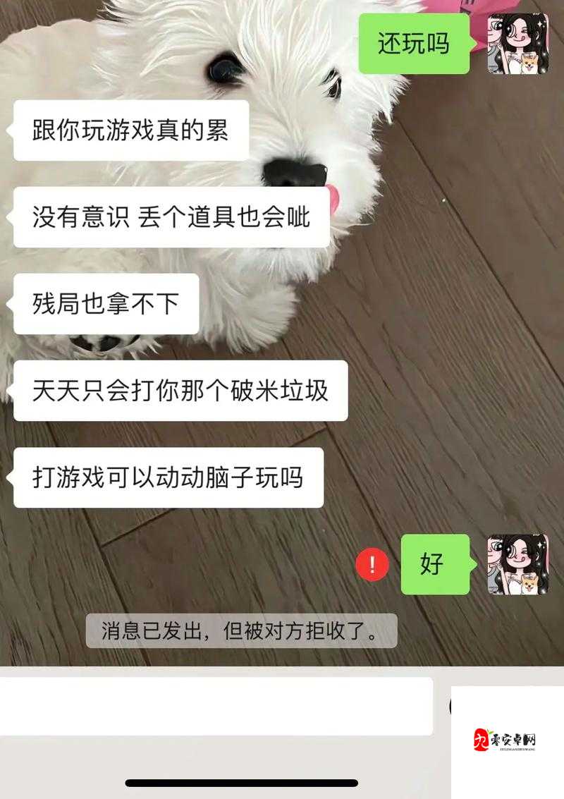 暴躁老姐的 csgo 心得分享视频-带你领略不一样的游戏世界