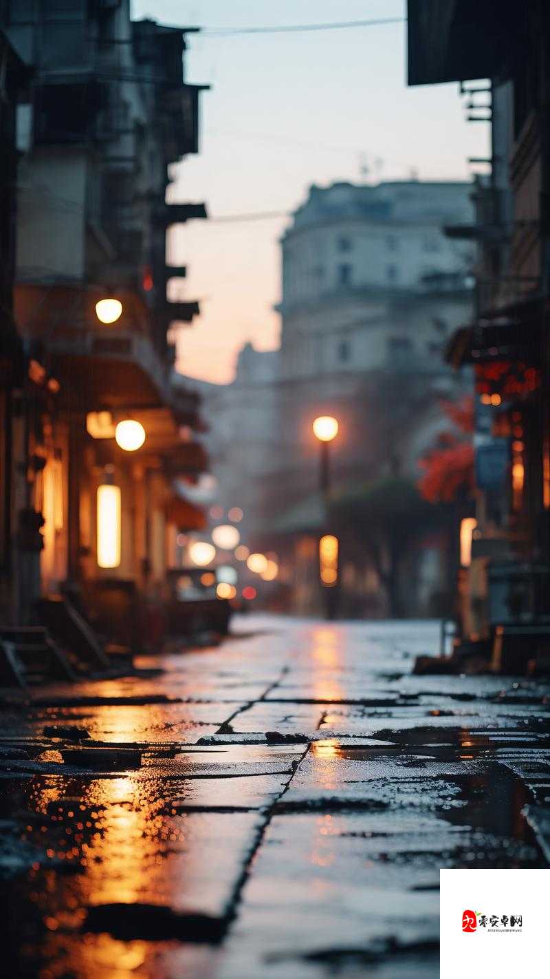 大巴车上夜路，与陌生邻座的寂静时光