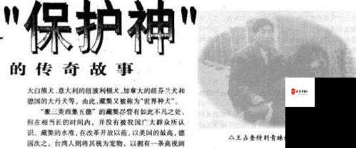 中国人 XXXXXXXX68：一段跨越时空的传奇故事