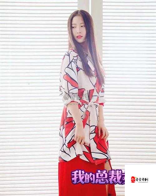 我的总裁女友，钻石资源的高效管理与使用策略