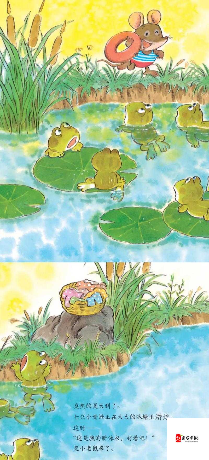 窝蝌蚪：一个神秘的蝌蚪释放之地